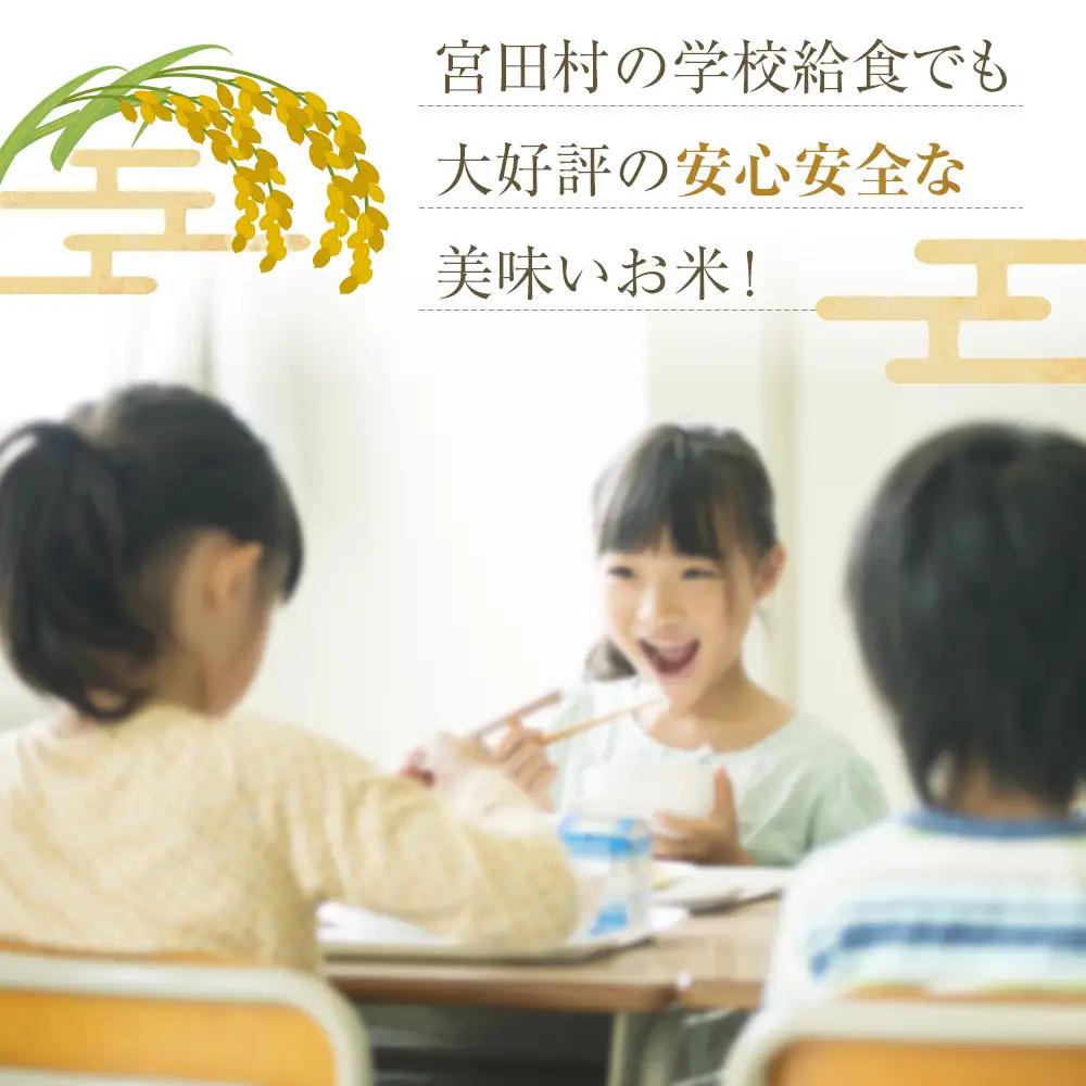 【予約受付】【令和８年米】長野県宮田村産コシヒカリ／精米／20kg・40,000円／令和９年2月配送 [ コシヒカリ ]