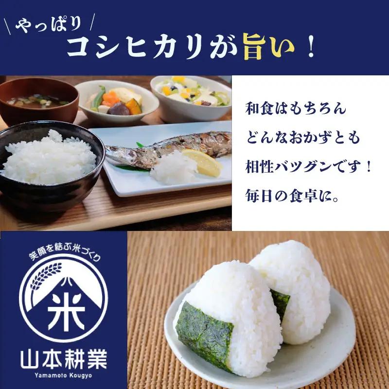 コシヒカリ 5kg 無洗米 牧之原市 静岡県 山本耕業