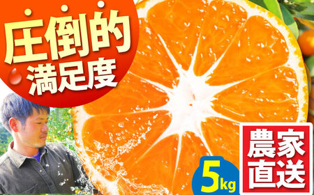 【2025年10月下旬~発送】温州みかん 5kg / みかん フルーツ 果物 ミカン / 蜜柑屋まつお [SCQ001]