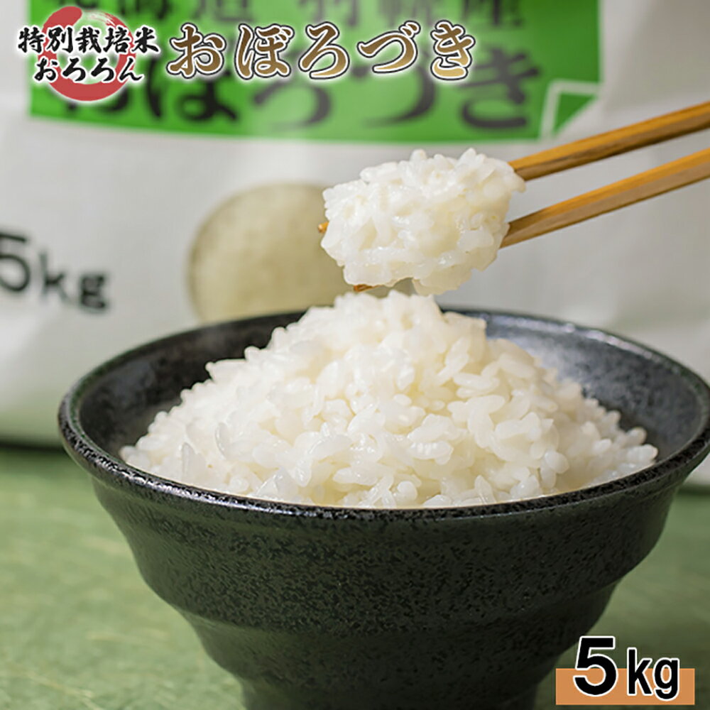 【ふるさと納税】【2025年産】 北海道羽幌産 特別栽培米 おぼろづき5kg ｜ 5キロ 米 美味しいお米 強い粘り 安心 安全 北海道米 ワンストップ オンライン申請 ふるさと納税 北海道 羽幌町 羽幌【0811802】