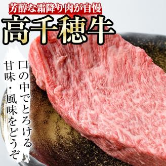 高千穂牛 ウデ・モモブロック(400g)【MT007】【JAみやざき 高千穂牛ミートセンター】