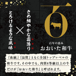 C-186 おおいた和牛（豊後牛）サーロインステーキ600g（200g×3枚）