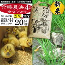 【ふるさと納税】 新米 令和6年産 精米 玄米 合鴨農法 おすすめ 4種 食べ比べ セット 5kg×4袋 計20kg 20キロ ササニシキ 銀河のしずく あきたこまち ひとめぼれ 武田家のお米 白米 あい鴨 カモ アイ鴨 少量 小分け 味比べ 産地直送 農家直送 ご飯 白飯 国産 岩手県 滝沢市