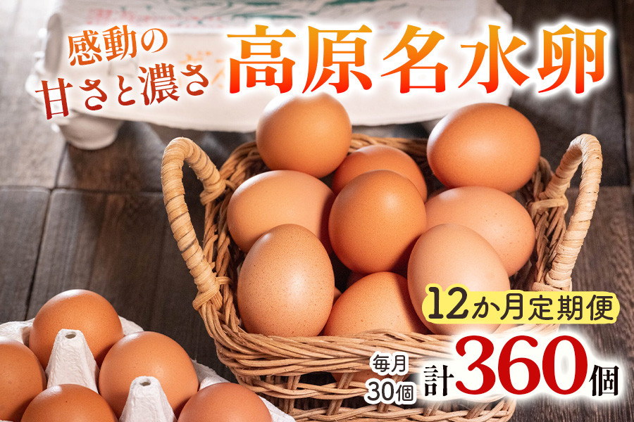 
            [定期便／12ヶ月] 高原名水卵 30個×12か月連続 豊かな自然で育ったアスタキサンチン含有の高原名水卵【感動の甘さと濃さ】｜こだわり卵 たまご タマゴ 玉子 生卵 鶏卵 高原養鶏場 矢板市産 
          