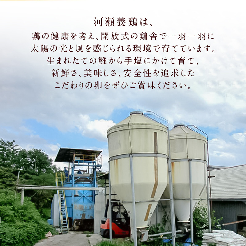 【6ヶ月定期便】名古屋コーチン卵・仙寿卵お試しセット（各10個入り）×6回（計各60個）