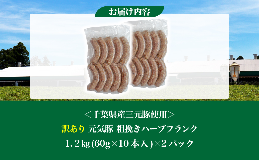 訳あり　元気豚 粗挽きハーブフランク 1.2kg【60g×10本入×2パック】【配送不可地域：離島・沖縄県】 TAKB060