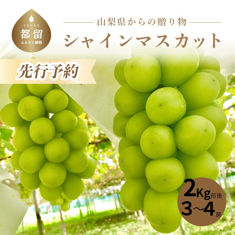 【ふるさと納税】【2026年先行予約】シャインマスカット3～4房（2kg前後）｜送料無料 やまなし 山梨 山梨県 シャイン 新鮮 美味しい 産地直送 贈答用 ギフト 山梨県産 フルーツ 果物 ぶどう 葡萄 ブドウ 旬 【小林農園 】