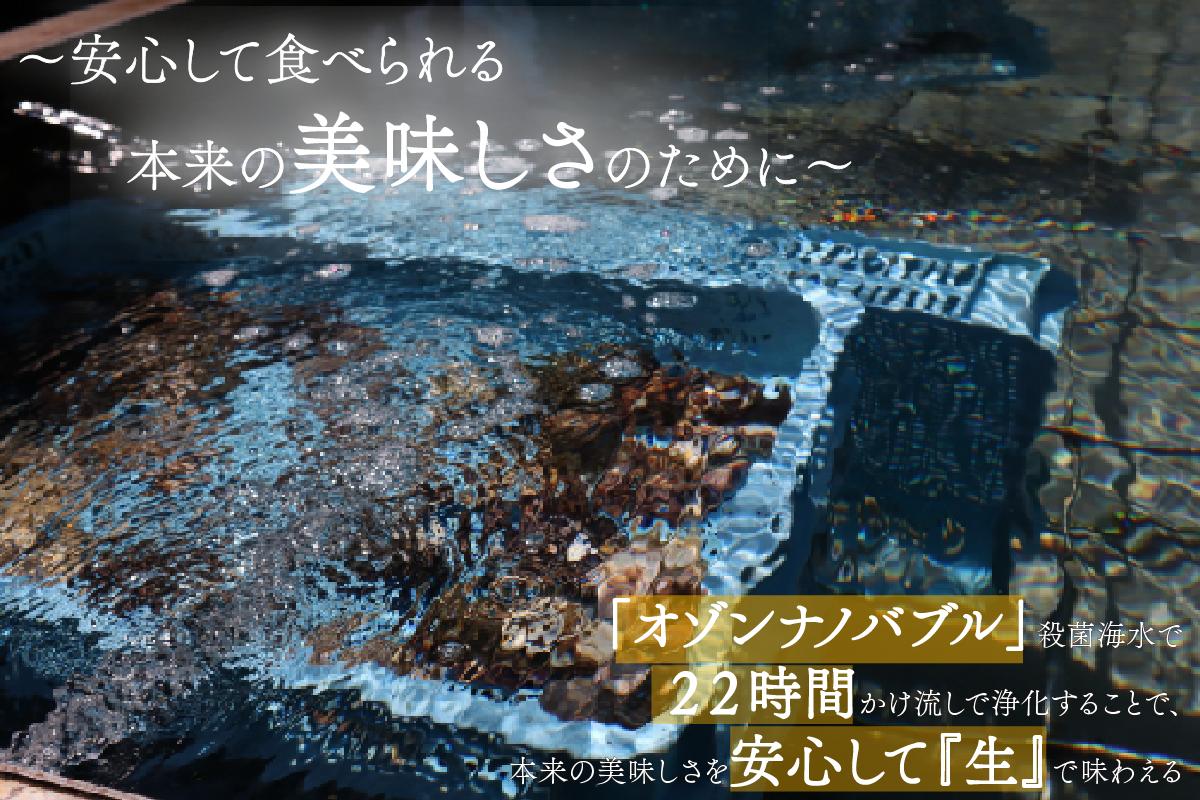殻付き牡蠣 生食可 10kg かき 牡蠣 カキ オイスター 生食用牡蠣 生牡蠣 冷凍牡蠣 冷凍カキ 冷凍かき 殻付牡蠣 殻付きカキ 殻付きかき 殻付き 牡蠣貝 海産物 海鮮 水産物 焼き牡蠣 蒸し牡蠣