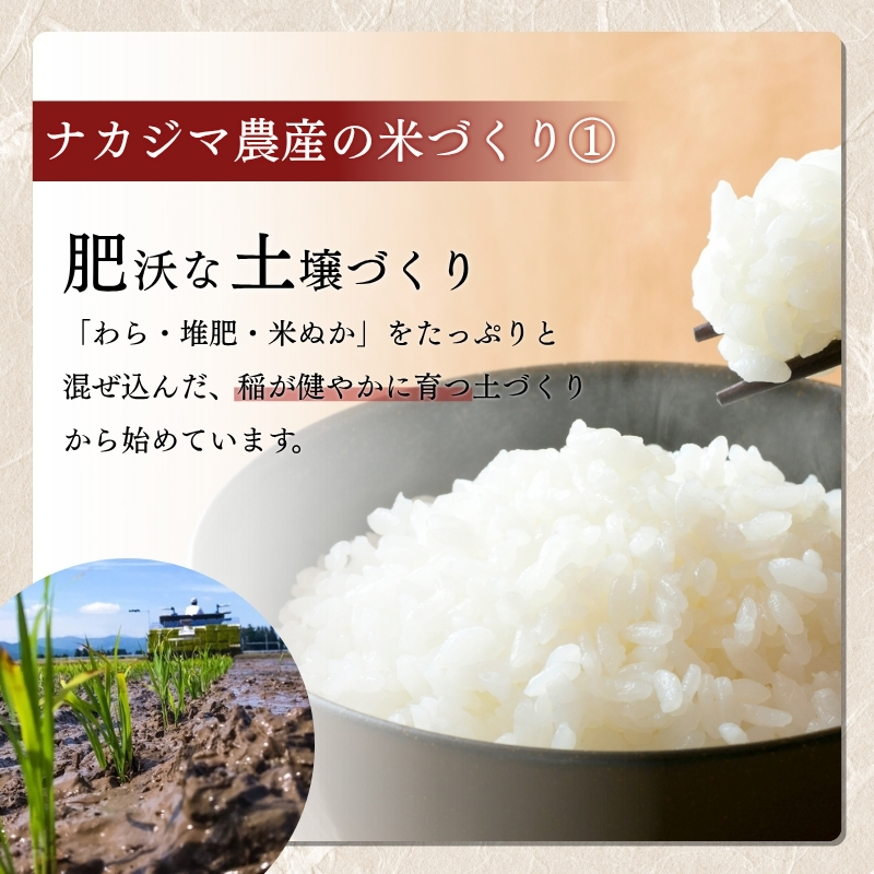 【先行予約｜10月上旬より順次出荷】定期便 12回 月替わり発送(偶数月10kg奇数月15kg)(全12回)  10kg 15kg 米 新潟県産 コシヒカリ  精白米 謙信秘蔵米  お米  こめ コメ