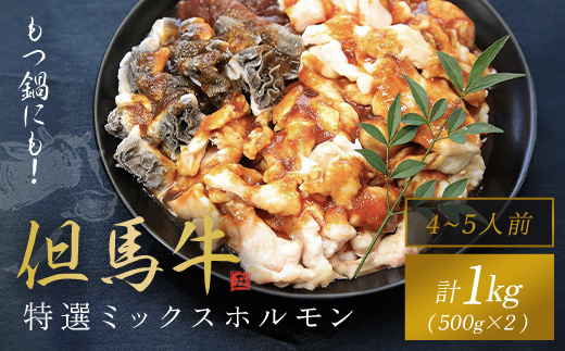 もつ鍋にも!【但馬牛】特選ミックスホルモン1kg(500g×2P)【配送不可地域：離島】神戸牛 神戸ビーフ 牛肉 黒毛和牛 国産牛 ブランド和牛 ホルモン ミックスホルモン 1キロ 兵庫県 朝来市 AS1DA1