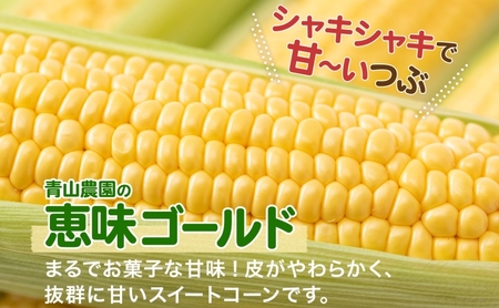 北海道 月浦 めぐみ ゴールド 5kg 先行受付 2026年8月中旬～9月中旬頃お届け とうもろこしトウモロコシ とうきび 恵味 コーン 旬 野菜 甘い 大粒 人気 朝採り 産地直送 青山農園 洞爺湖