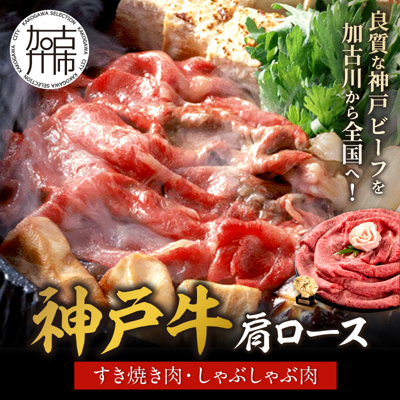 神戸牛肩ロースすき焼き肉・しゃぶしゃぶ肉(500g)《 神戸牛 自社牧場直送 国産 肉のヒライ 肩ロース すき焼き しゃぶしゃぶ プレゼント ギフト 送料無料 おすすめ 》【2403A00114】