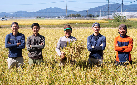 【3ヶ月定期便】熊本県 菊池産 ヒノヒカリ 白米 10kg 通常パッケージ 令和7年産《お申込みの翌月から発送予定》七城物語 高野さんちの自然栽培米 精米 米 お米 自然栽培米 特A 国産 九州産 熊