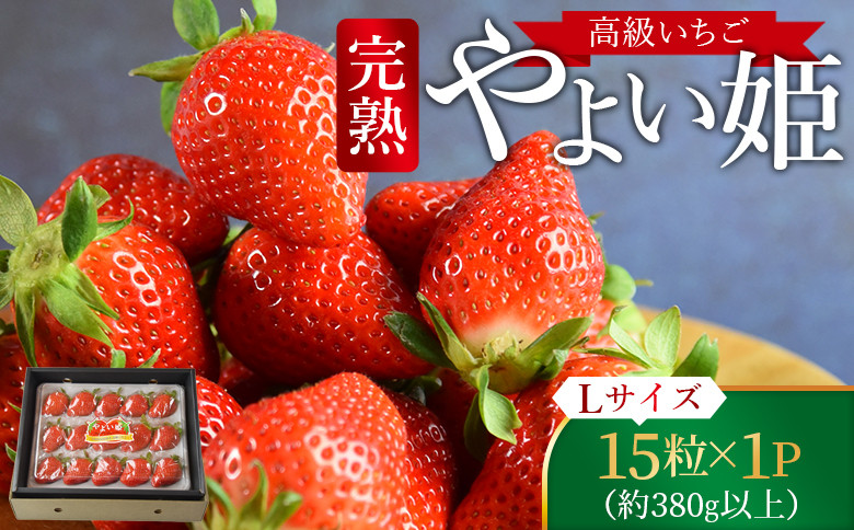 
            高級いちご「やよい姫」（15粒×1パック 約380g以上）【 選べる 贈答用 簡易包装 ご家庭用 いちご イチゴ 苺 先行予約 甘い 果物 フルーツ 季節物 お祝い お返し サンクール・スマイルファーム 】2025年1月上旬から4月末迄に順次出荷
          