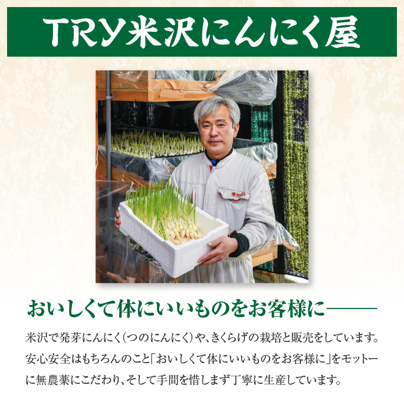 つのにんにく 10本 × 7袋 計70本 発芽にんにく 水耕 栽培 スプラウト にんにく ニンニク 山形県 米沢市