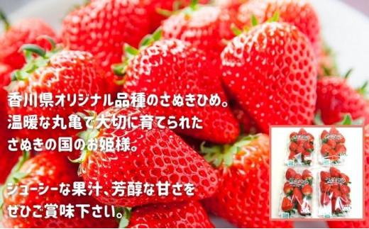 【2月中旬から順次発送】いちごのお姫様 さぬきひめ 約250g×4パック 苺 いちご 果物 フルーツ 果物 ブランド さぬき姫 ジューシー 果汁 甘い 季節 デザート スイーツ ふるさと納税いちご ふ