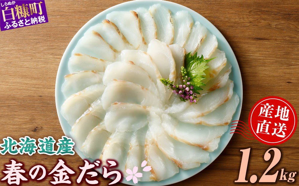 
                  天然 真鱈 フィレ 春の金だら 1.2kg 北海道産 国産 たら 鱈 タラ 刺身 刺し身 お刺身 小分け 切り身 切身 魚 魚介 魚介類 魚貝 魚貝類 海鮮 真だら 真ダラ 旬 新鮮 冷凍 柵 人気 お取り寄せ グルメ ギフト 白身魚 フライ 揚げ物 しゃぶしゃぶ 鍋 ポワレ ムニエル カルパッチョ 寿司 贈答 北海道 白糠町
                