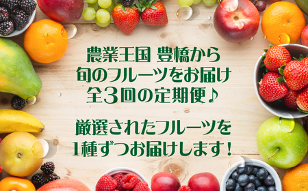 フルーツ定期便 3回 いちご メロン みかん