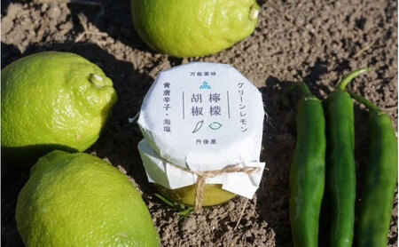 百章3点セット（檸檬胡椒・レモンシロップ・生姜の佃煮）　レモン れもん 調味料 スパイス 薬味 レモネード 佃煮 詰め合わせ 京都府 宮津市