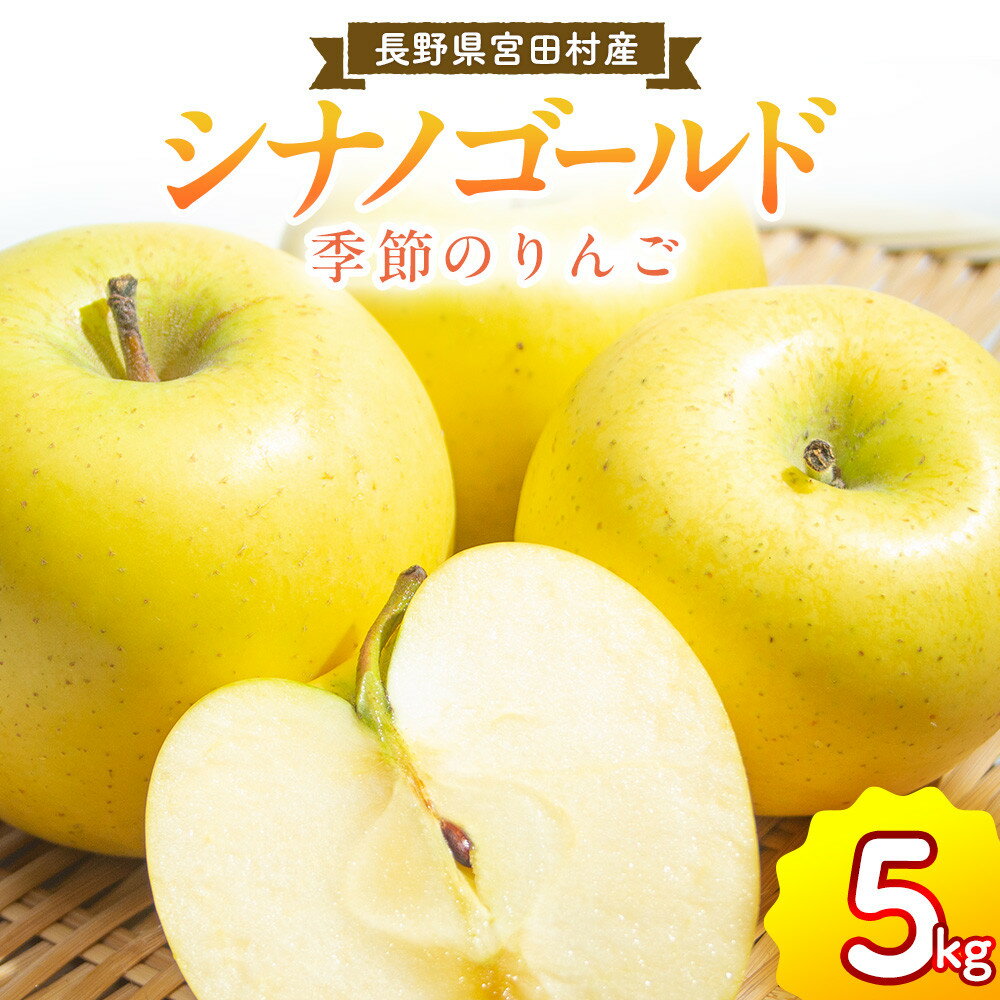 【ふるさと納税】季節のりんご『シナノゴールド』（5kg）（予約制）（りんご 林檎 フルーツ ビタミン 果物 くだもの 上伊那 宮田村 長野 信州 甘い 新鮮 人気 ギフト 贈答 お祝い プレゼント 贈り物 特産品）
