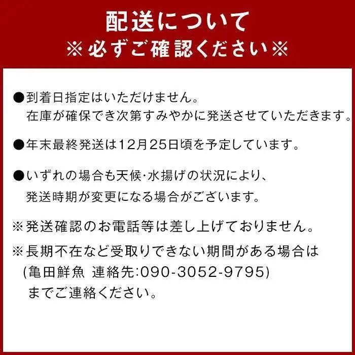 冷凍 伊勢海老 お鍋用 約 2.5kg 産地直送