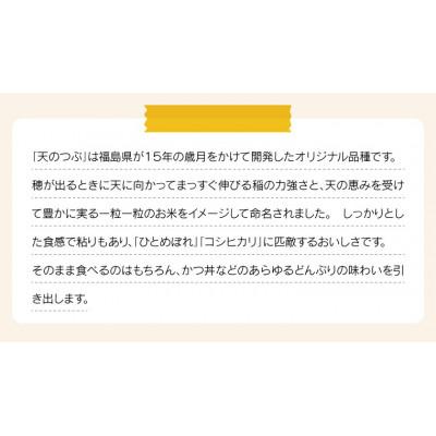 ふるさと納税 いわき市 令和7年産 福島県産天のつぶ 精米 18kg(9kg×2袋) |  | 02