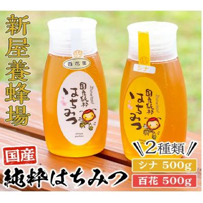ふるさと納税 曽於市 新屋養蜂場定番はちみつ2本セット(シナ・百花)