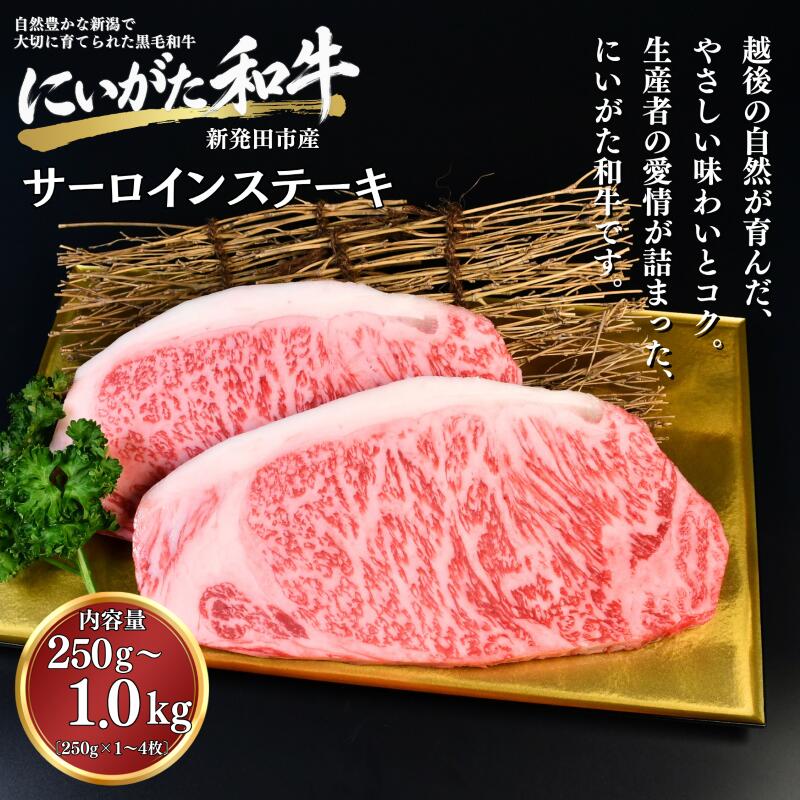 【ふるさと納税】 肉 和牛 サーロインステーキ 250g 500g 1kg 焼肉 ステーキ にいがた和牛 黒毛和牛 牛肉 ギフト 贈答用 グルメ お取り寄せ 新発田市産 ごちそう 精肉 新潟県 新発田市 yoneichi013P