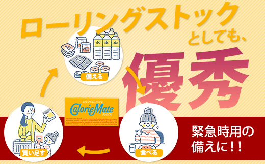 【3回定期便】≪バニラ味≫ カロリーメイトブロック 2本入り 計20箱 ×3回 合計60箱【徳島 那賀 大塚製薬 カロリーメイト バニラ ビタミン ミネラル たんぱく質 脂質 糖質 5大栄養素 バラン