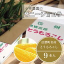 【ふるさと納税】令和6年分　小林農園のとうもろこし「サニーショコラ（2Lサイズ9本セット）」 長野県信濃町産｜2024年8月上旬のお届け予定☆朝採りの信州信濃町産トウモロコシを生産者から直送　産地直送ギフト