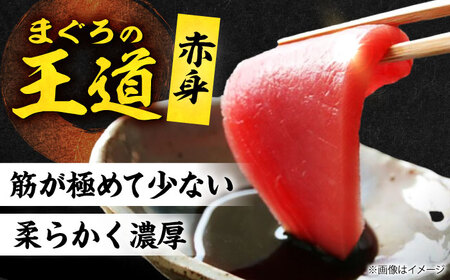 【全12回定期便】たね熟天然本まぐろ赤身(960g)[AOCE021]マグロ