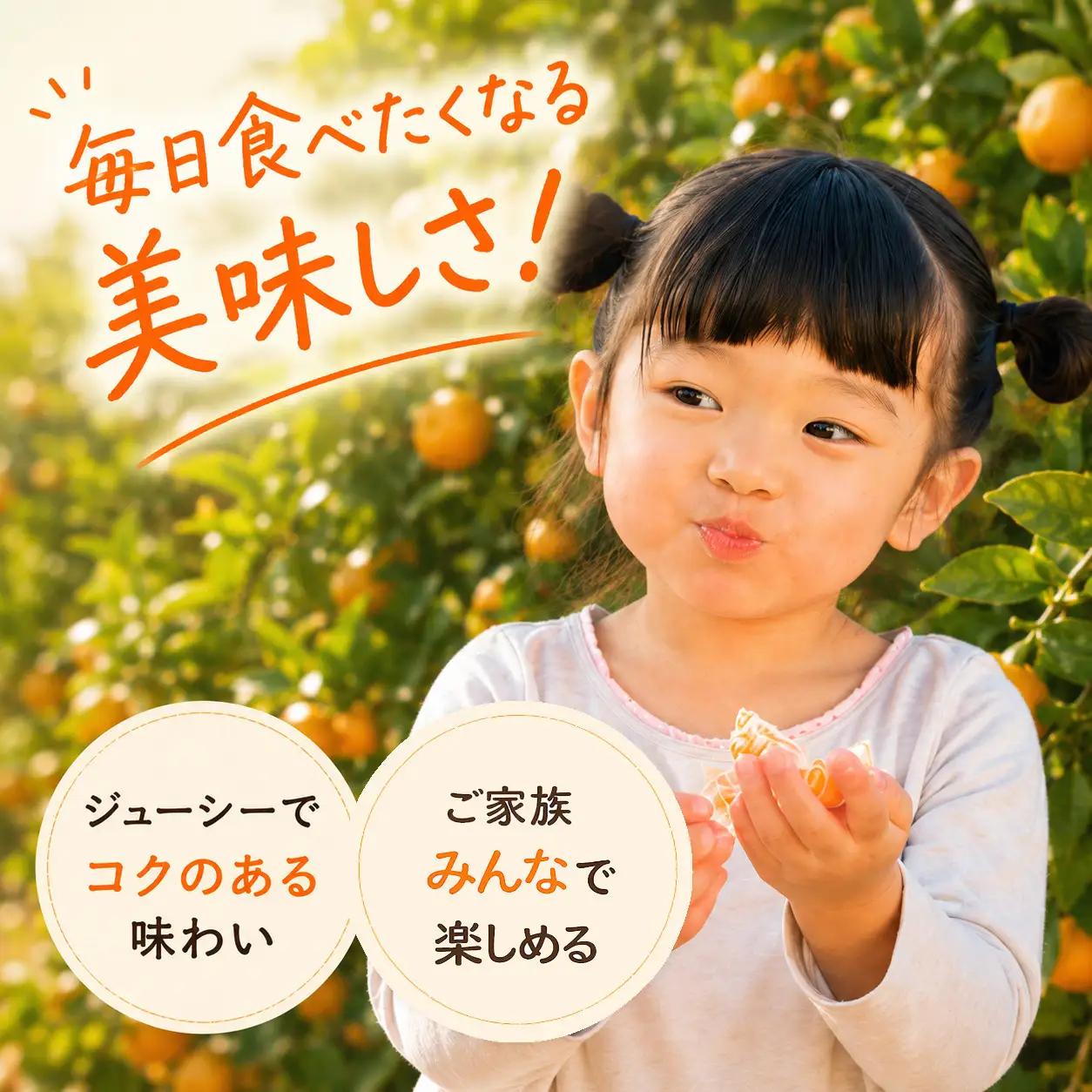 【先行受付】はじめまして 有田みかん 3kg　和歌山県有田川町産　お試し・味重視