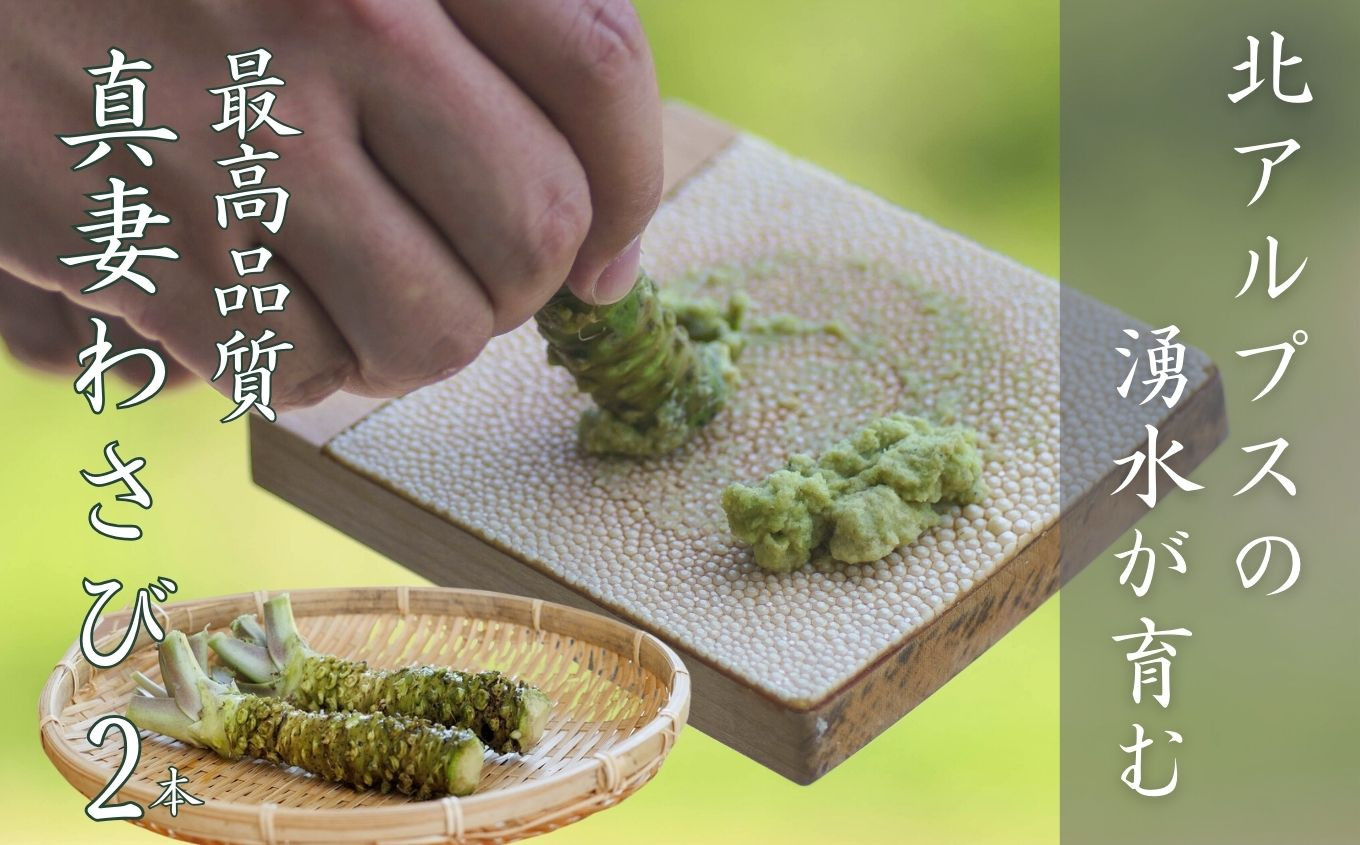 
                  本ワサビ「真妻わさび」Mサイズ2本セット 約160ｇ　北アルプスの湧水が育てた山の宝石 新鮮 天然 新潟県 糸魚川市  生わさび 山葵 お刺身 お蕎麦の薬味に
                