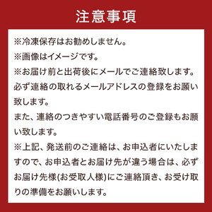 ＜先行予約＞ 氷見産天然ぶり使用 かぶら寿司 約500g ＜2025年11月下旬以降順次発送＞ かぶら寿し 漬物 郷土料理 発酵 富山県 氷見市