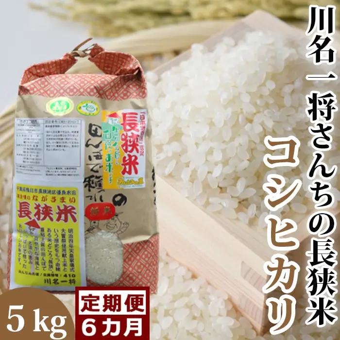 【定期便】川名一将さんちの長狭米 コシヒカリ5kg×6回 [0090-0009]