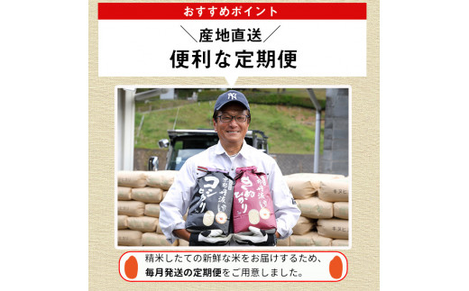 【9月より新米】【定期便】米 京都丹波米 きぬひかり5kg×4回 計20kg◇◆◇ 4回定期便 米 白米 5kg 4ヶ月※精米したてをお届け 米・食味鑑定士厳選 キヌヒカリ 京都丹波産 ※北海道・沖縄