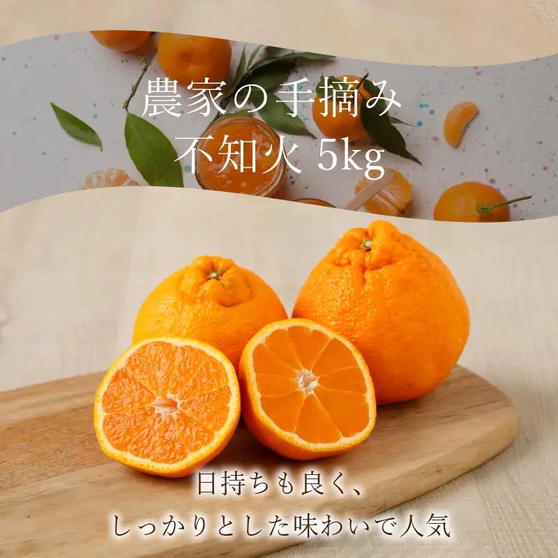 S040-011A_農家の手摘み不知火 約5kg 家庭用〈先行受付〉 / 柑橘 不知火 約 5kg 果物 フルーツ 農家 手摘み 家庭用 大小ミックス サイズ 日持ちが良い しっかりとした味わい 果実 皮が剥きやすい 薄皮 柔らかい みかん 食品 食べ物 熊本県 天草市 お取り寄せ お取り寄せフルーツ 送料無料