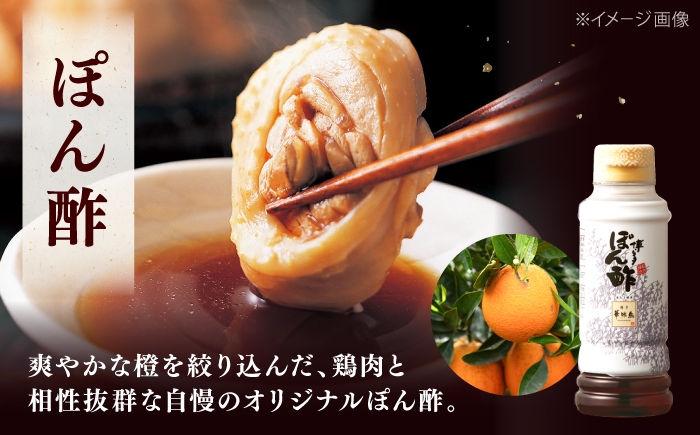 12回定期便 博多華味鳥 水炊き セット 3~4人前 （ぽん酢・柚胡椒付）