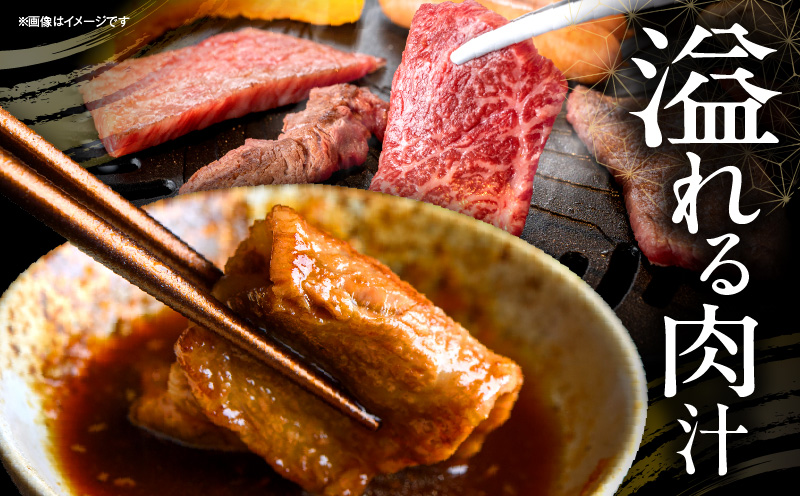 宮崎県産 黒毛和牛 焼肉3種セット(肩ロース・ウデ・モモ 各300g 合計900g)_M132-030