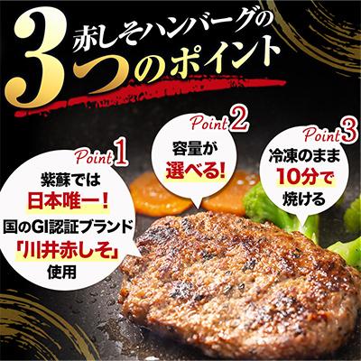 ふるさと納税 宮古市 【訳あり】赤しそハンバーグ2.4kg　国GI認証「川井赤しそ」 |  | 01