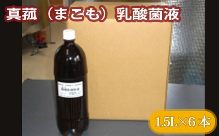 No.228 真菰（まこも）乳酸菌液　1.5L×6本【n0228_nyu】