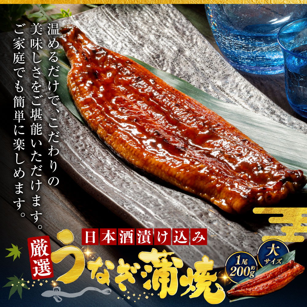 うなぎ蒲焼 200g×5尾セット 職人 手焼き 真空 冷凍 北海道 ウナギ 鰻 かばやき