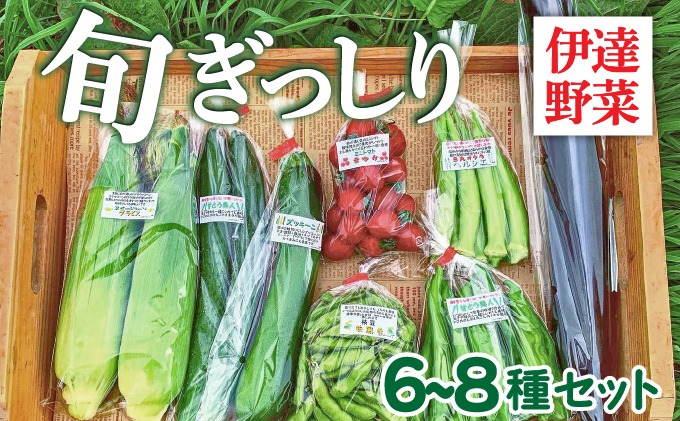 【 2026年発送 】 先行予約 新鮮採れたて！旬の伊達野菜セット（6～8種）【オンライン決済限定】55250703