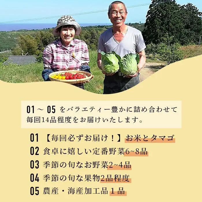 【３ヶ月お届け】肥前の国の農産物大満足定期便 【 野菜 卵 米 果物 新鮮 セット 詰め合わせ 定期便 産地直送 肥前 】E-61