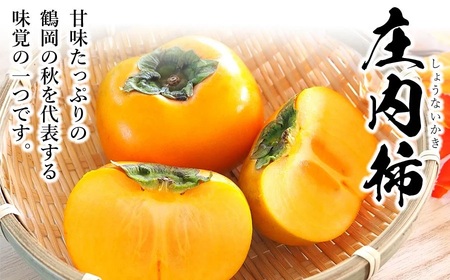 【令和6年産先行予約】 庄内柿 (L～4Lサイズ) 秀品 約5kg (25～31個) 山形県鶴岡市産　株式会社 元青果