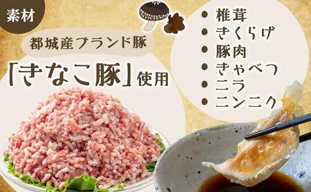 香り立つ!!「きのこ餃子」120個_16-8701_(都城市) ギョウザ 12個入り 10パック 無農薬栽培 椎茸 きくらげ 都城産ブランド豚 きなこ豚 きゃべつ ニラ ニンニク使用 ヘルシー餃子 大