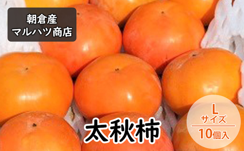 柿 太秋柿 Lサイズ×10個入 マルハツ商店 配送不可：離島 果物類 かき 