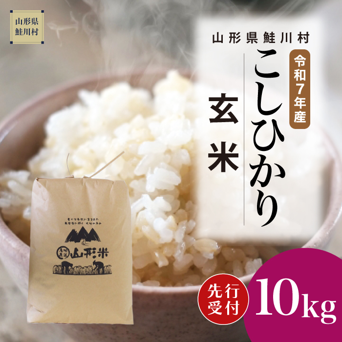 ＜令和7年産米先行受付＞ 鮭川村産 こしひかり 【玄米】 10kg （10kg×1袋） 配送時期指定できます！