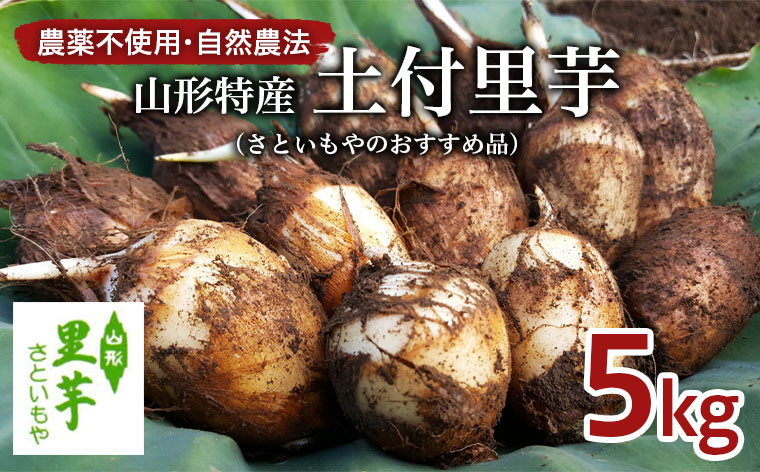 
農薬不使用 自然農法 山形特産 土付里芋 5kg!(さといもやのおすすめ品) FZ23-135
