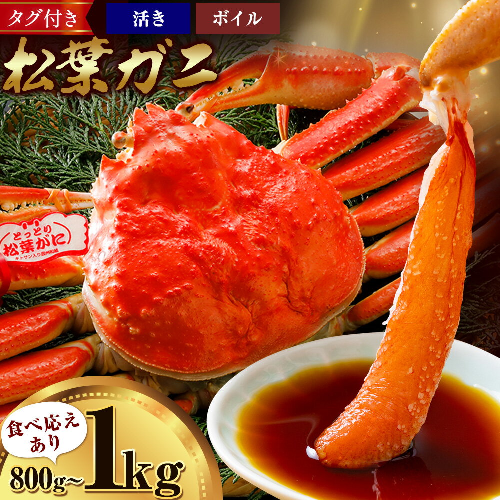 【ふるさと納税】カニ 松葉ガニ 1kg 800g ボイル or 活き 1杯 《発送時期をお選びください》 SOO合同会社 鳥取県 八頭町 送料無料 蟹 かに 姿 鍋 ズワイガニ ズワイ蟹 ボイル 松葉ガニ